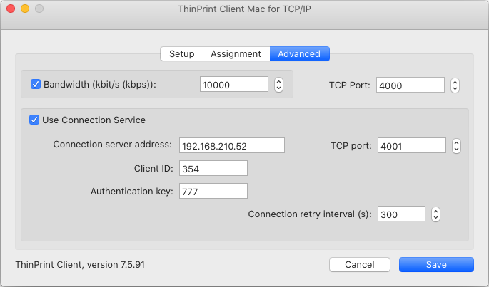 Advanced options including Connection Service (TCP/IP type only)