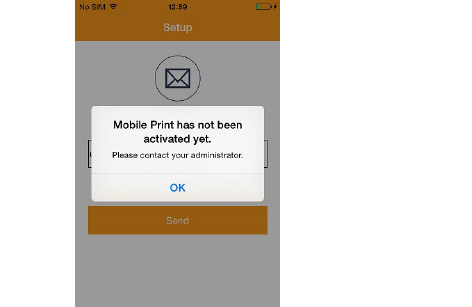 Accessing the Mobile Session Print server failed at this point