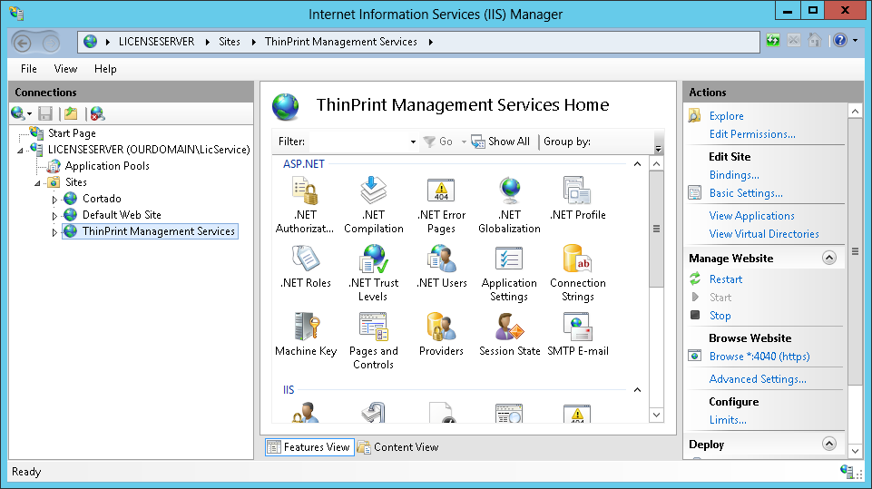 IIS Manager (here, on the license server): Tpms.Service installed