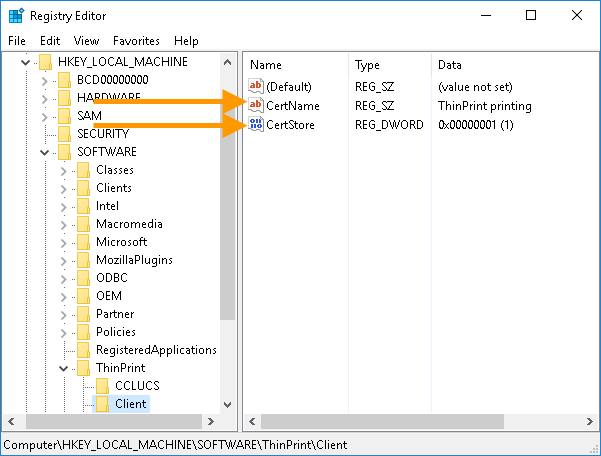 Registry-Einträge für ThinPrint-Verschlüsselung auf einem Windows-Client (rechnergebunden)