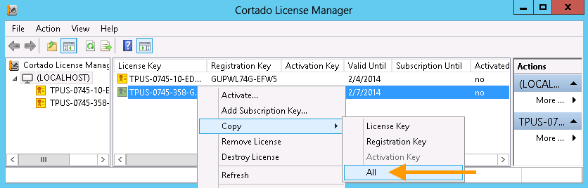 copy server name, license key and registration key into clipboard