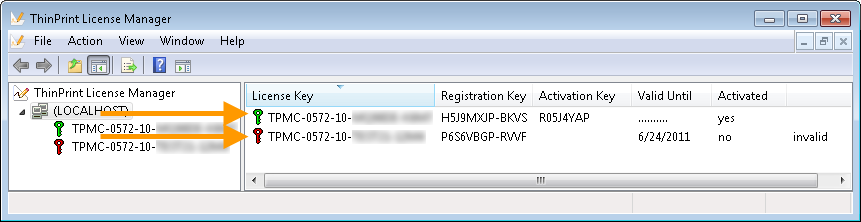License Manager with one activated productive license key (green) and one outdated demo license key (red) for the Management Center