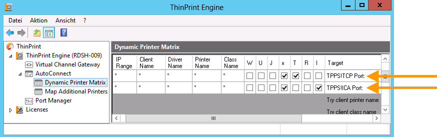 Dynamic Printer Matrix: zusätzliche Zeilen für das Anlegen der Mac-Drucker; erste Zeile für den TCP/IP-Typ, zweite für ICA (Beispiel)
