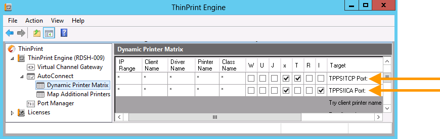 Dynamic Printer Matrix: additional lines for the creation of the Mac printers, first line for the TCP/IP type, second line for ICA.(example)