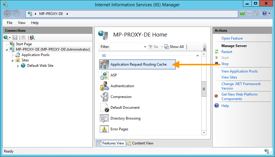 IIS Manager: select Application Request Routing Cache 