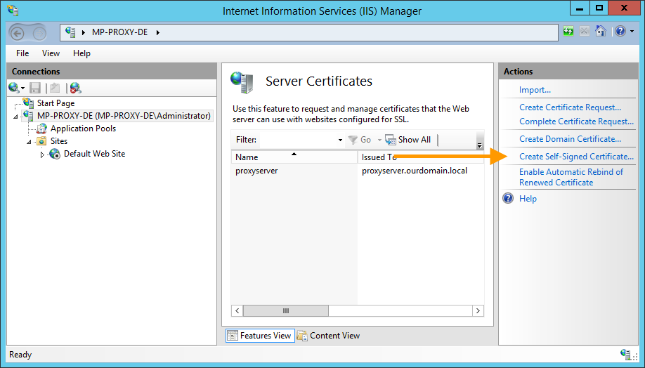 Server Certificates: Create Self-Signed Certificate wählen