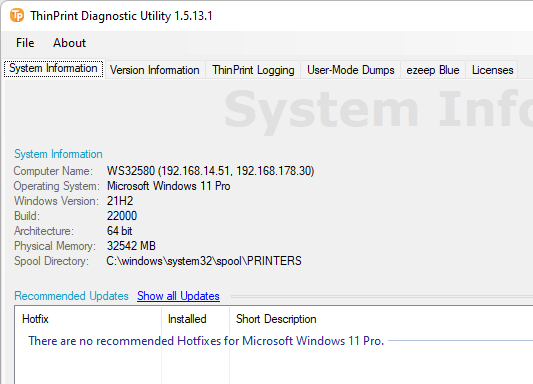 Empfohlene Hotfixes auf Windows 11